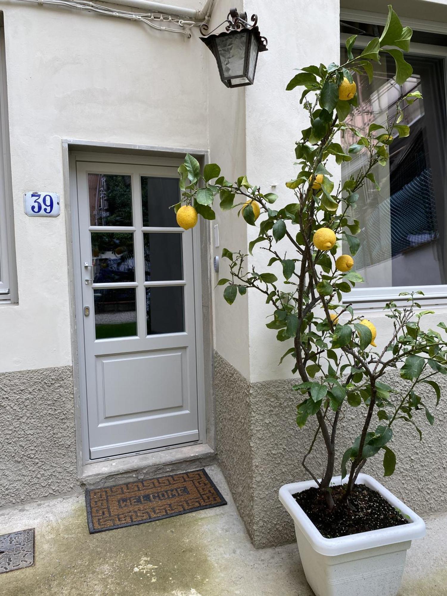 Apartment Pilati 39 Pt